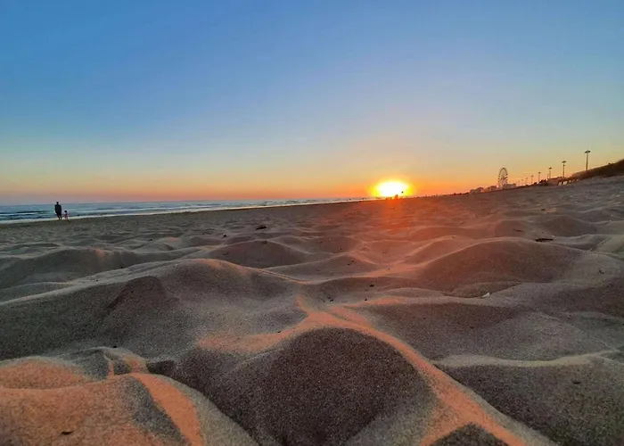 Apartamento Sh280-031 - 2 Pieces 5 Couchages Saint Hilaire De Riez *